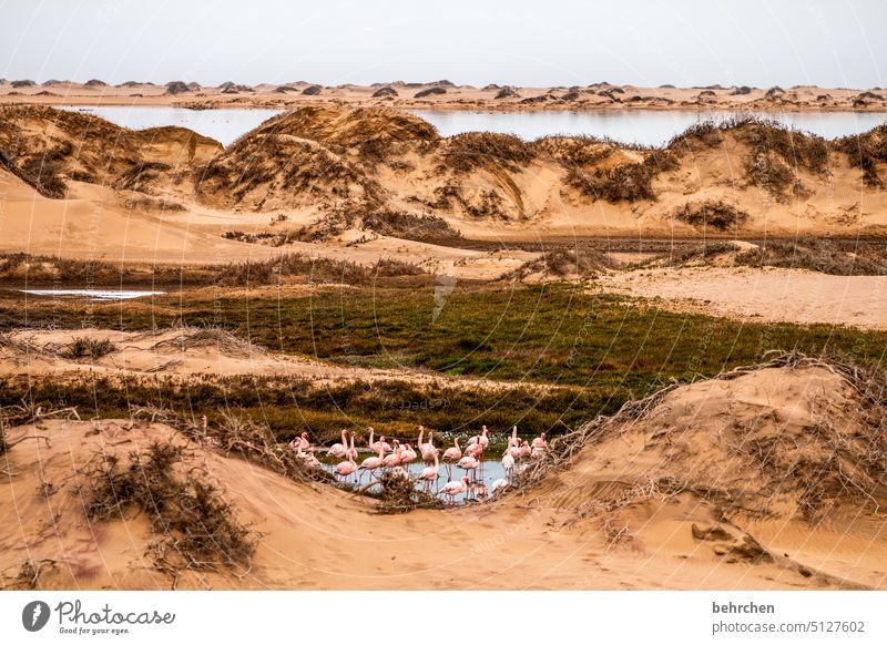 bathtub sandwich harbour sand dune dunes duene Swakopmund especially Walvis bay Impressive Landscape Colour photo Adventure Freedom Nature Vacation & Travel