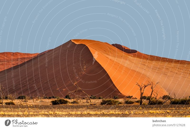 light and shadow sides Sky Namib desert Drought Dry Mountain Tree trees Climate change Environment sand dune dunes duene magical especially Impressive Gorgeous