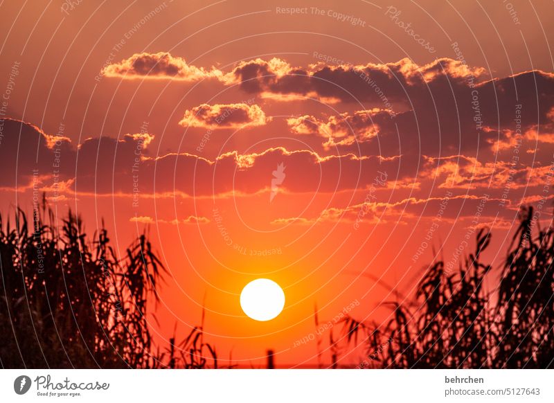 sound painting | romanticism Belief Hope Dusk sunshine Evening Sunset Sky Fantastic Clouds Etosha pan etosha national park Light Africa Namibia Landscape