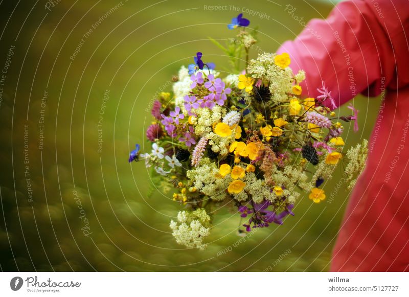 A colorful bouquet of meadow flowers Bouquet Summerflower Summer flowers bouquet Meadow person arm blossom wild flowers naturally Picked