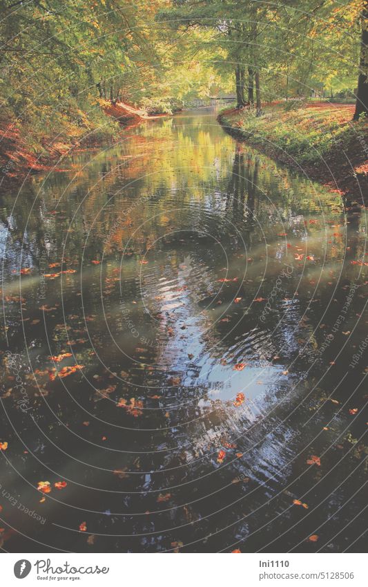 Autumn atmosphere in the city park autumn mood Autumnal colours trees golden october sunshine Light and water Water leaves River reflection