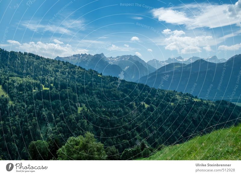 Alpine moments 1 Environment Nature Landscape Plant Sky Clouds Summer Beautiful weather Tree Grass Meadow Forest Alps Mountain Vorarlberg Austria Peak