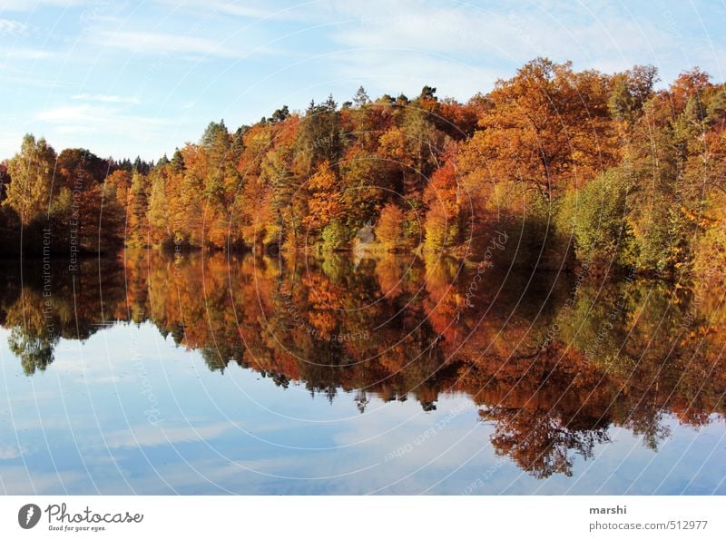 Bärensee 2013 | double holds better Nature Landscape Autumn Beautiful weather Forest Coast Lake Multicoloured Autumnal Lakeside Mirror image Moody Colour photo