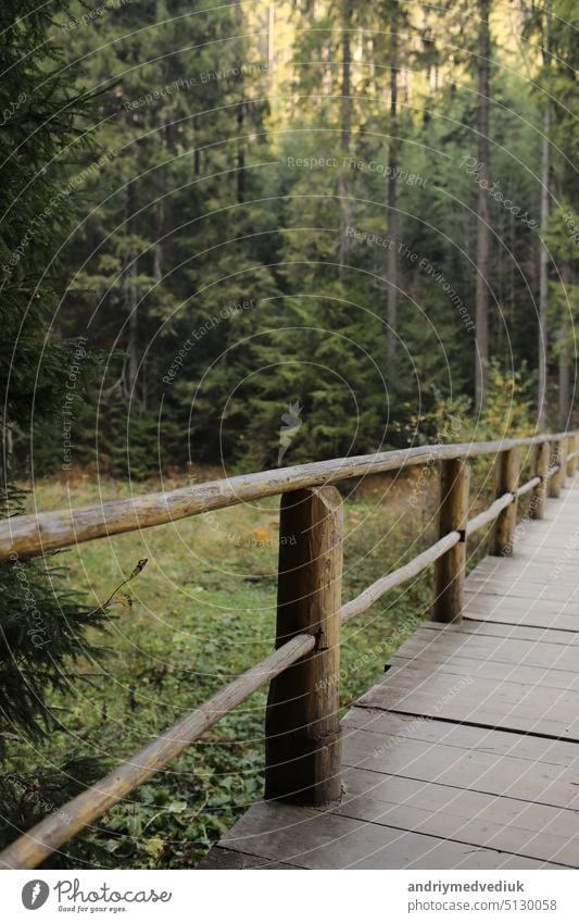 tourist wooden bridge with fence in green forest woodland footbridge nature travel outdoors railing nobody walkway autumn board natural woods background path