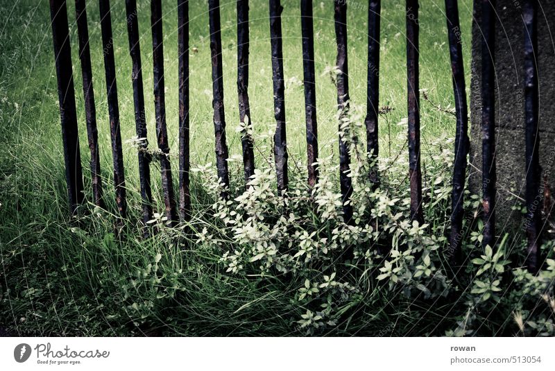 old gate Garden Door Old Garden fence Grating Gate Open Rust Old fashioned Broken Overgrown Weed Grass Bushes Creepy Mystic Mysterious Jinxed Fairy tale