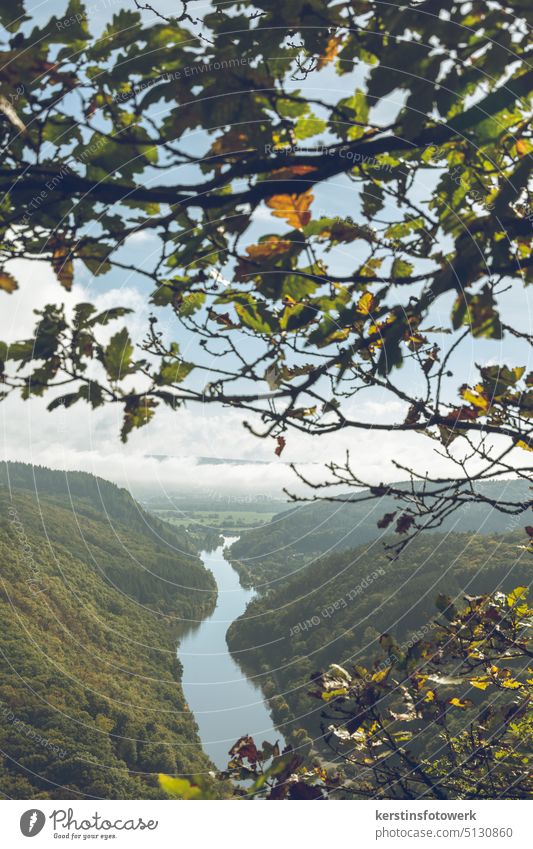 River in valley with autumn leaves Water Nature Clouds cloudy Autumn Autumnal Autumn leaves Forest Deserted unhuman colored Colour photo Exterior shot