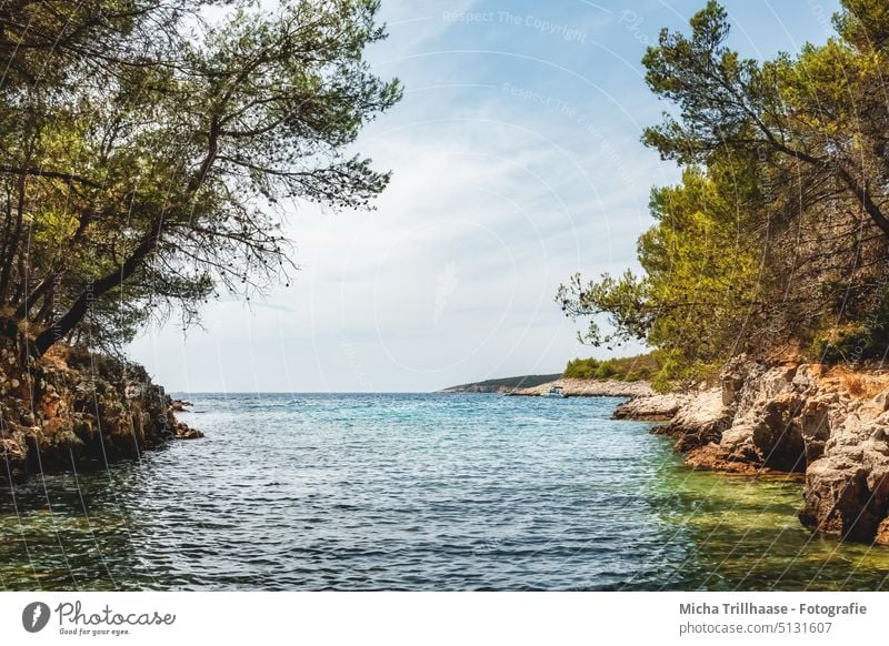 Lonely bay on Cape Kamenjak / Croatia Bay lonely bay Ocean Water trees Bushes Rock stones Istria Sky Clouds Sun sunshine Waves vacation travel Relaxation