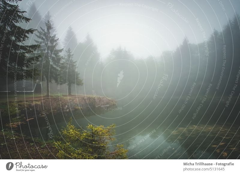 Mountain lake in dense fog Mountain lake at the Ebertswiese Thuringia Thueringer Wald Lake mountain lake Water Forest Hut Fog wafts of mist trees Rock