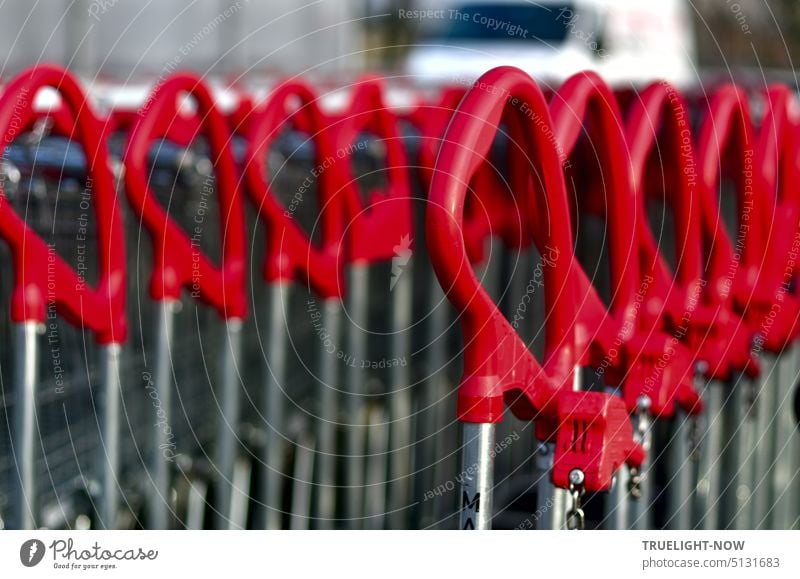 STILL!!! At the sales front of a hardware store, shopping carts with fiery red handles for heavy stuff are lined up closely together Shopping Trolley