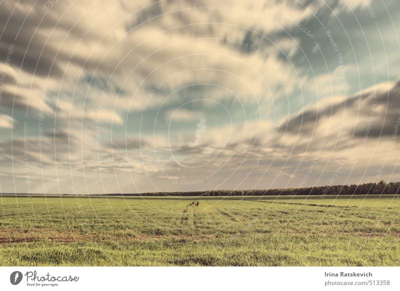 in motion Nature Landscape Earth Sky Clouds Summer Weather Beautiful weather Wind Warmth Grass Soft Blue Green Moody Warm-heartedness Serene EOS canon