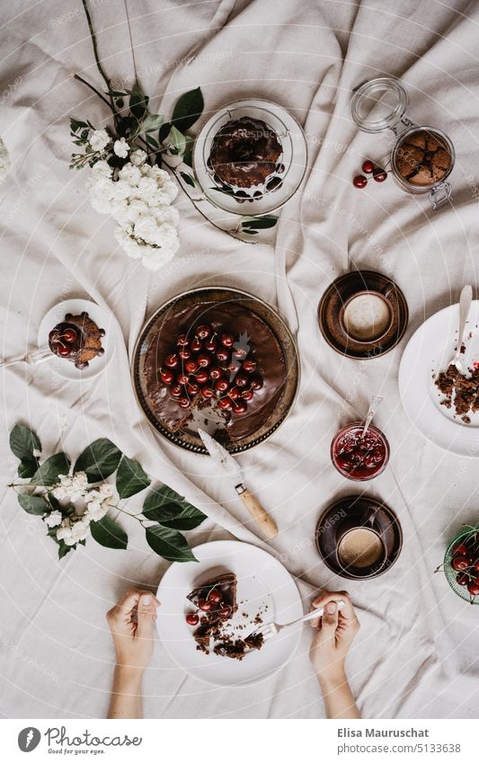 Coffee and cake Chocolate cake To have a coffee Coffee table Coffee break Pastry fork Feasts & Celebrations Festive Banquet Dessert Desert plate Birthday