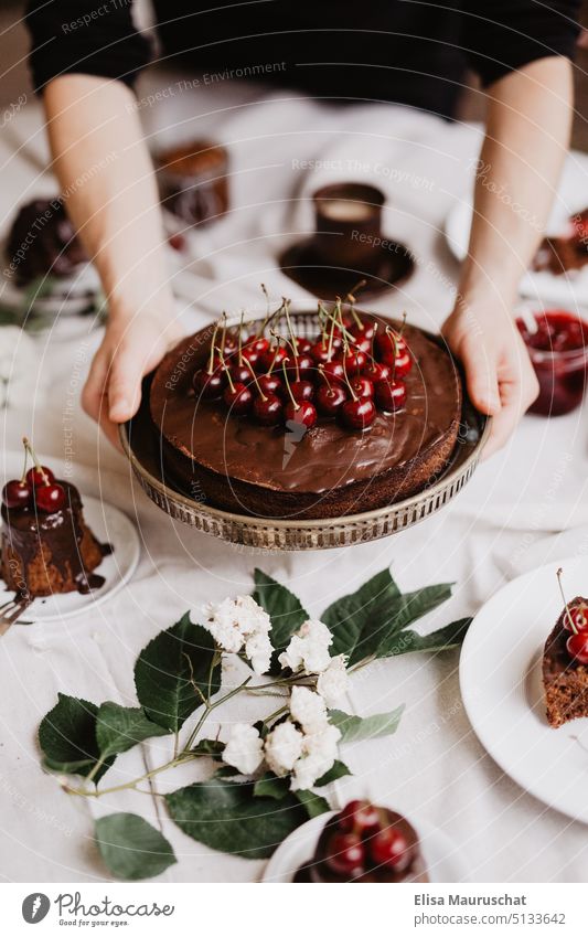 Chocolate cake with cherries is served Dessert Sweet food Candy Cake Food chocolate cake Cherry Plate flowers To have a coffee Coffee break