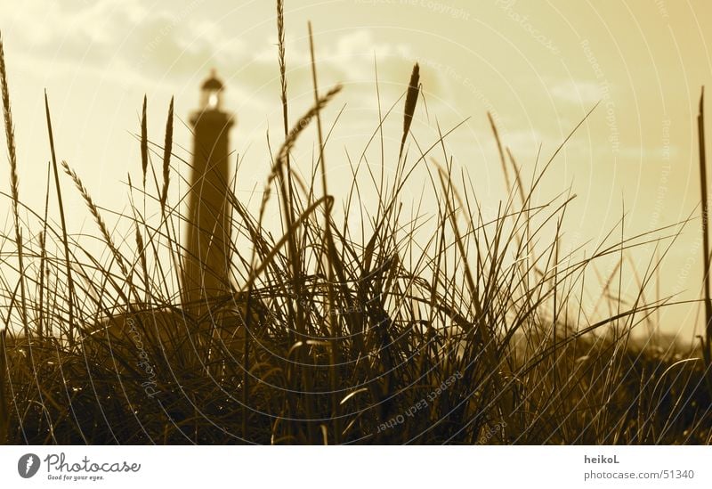 Lighthouse in the dunes of Skaagen Beach dune Denmark skaage