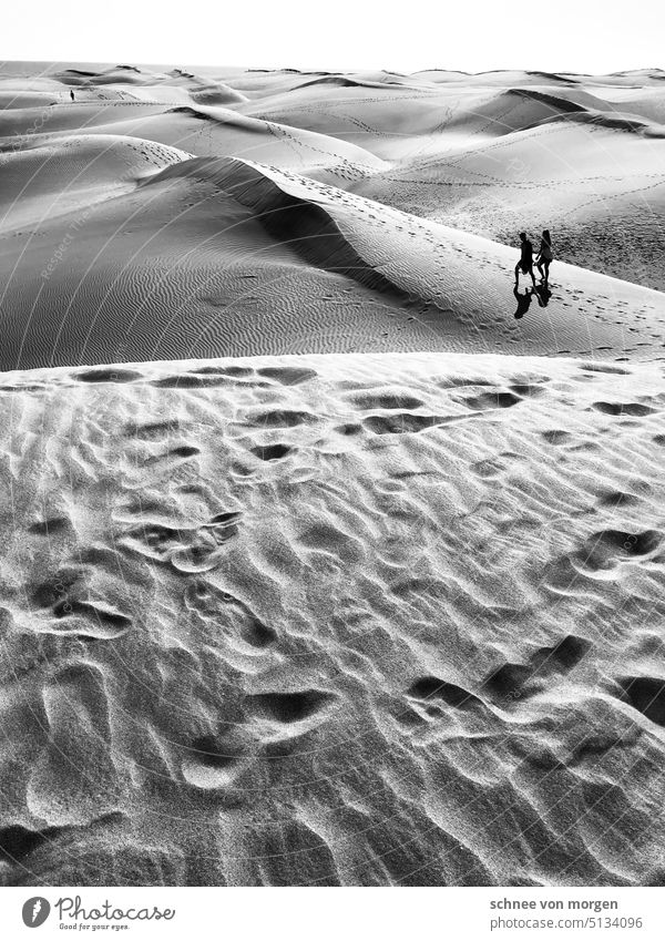 Wavy space in dream Beach and sea dunes Desert Vacation & Travel Nature Landscape Ocean Sky Tourism Exterior shot Sand Clouds voyage Warmth Sunlight magical