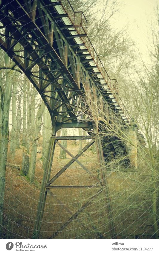 Everyone talks about building bridges. Viaduct in the victim protection program. viaduct Bridge Forest trees railway viaduct Railway bridge