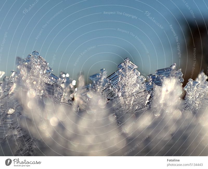 Ice crystals, so beautiful, delicate and fragile. Each one is so unique. On the right in the background, a tree darkly intrudes into the picture, only schematically and out of focus.