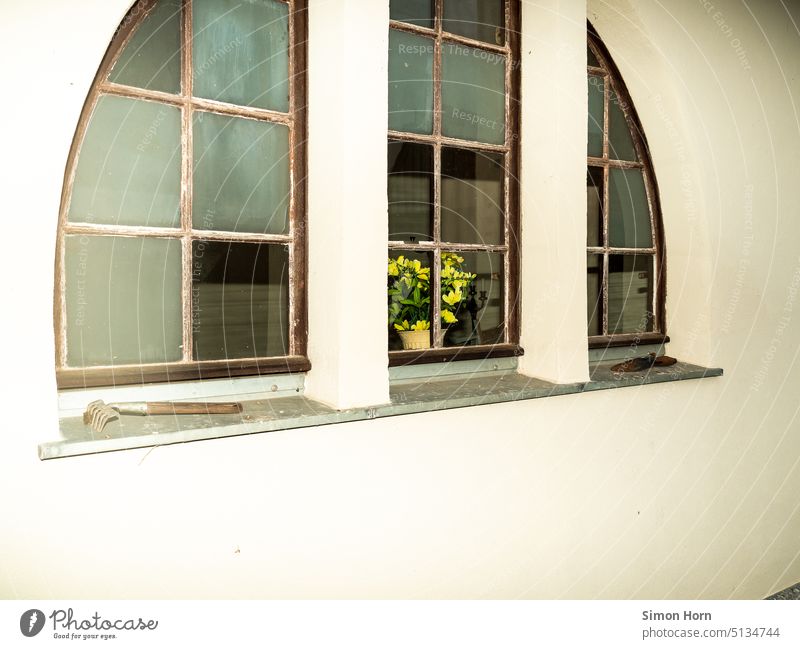 Triptych from windows Window Old Winter garden Garden Tool Light Bouquet Lattice window Cozy Sunlight Historic Facade flowers Building