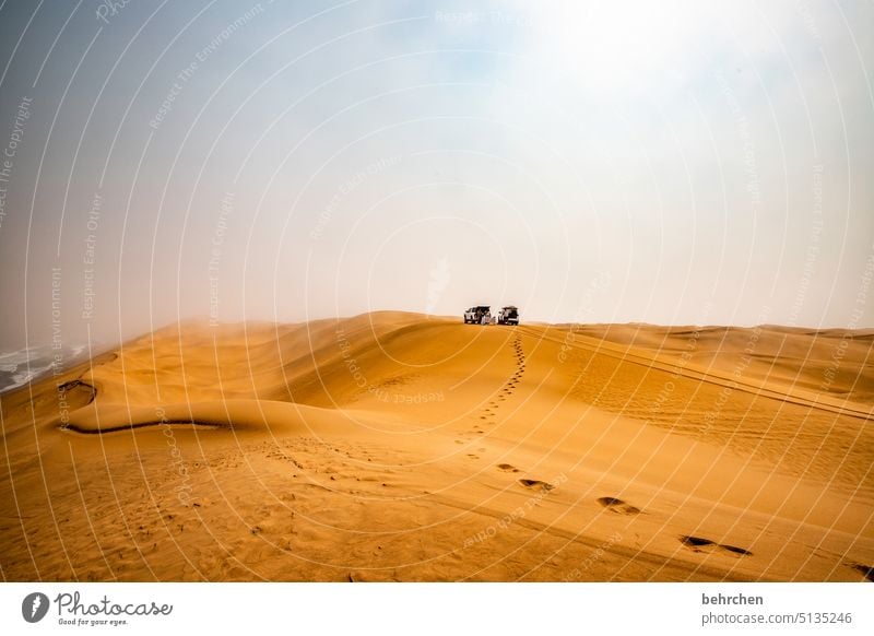 when the path leads to the goal wide Fantastic dunes Exterior shot Africa Namibia Dream Desert sandwich harbour especially Sand Far-off places Wanderlust travel