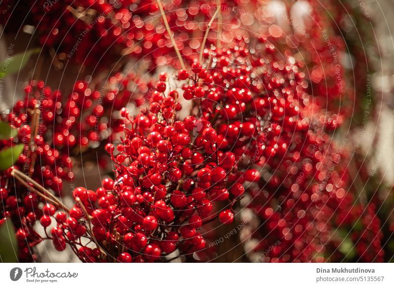 Red berries wreath on the wall at christmas market store for home interior decoration red background texture decorative celebration holiday elegant realistic