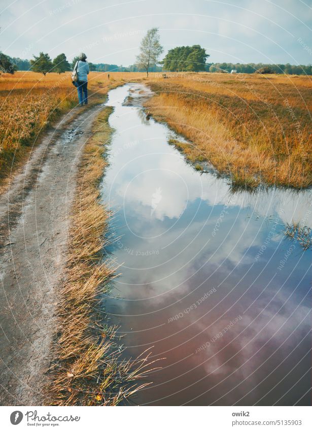 Shore path Woman Adults Going Rear view Pedestrian To go for a walk Human being Trip Leisure and hobbies Relaxation To enjoy Idyll Serene Calm silent Peaceful