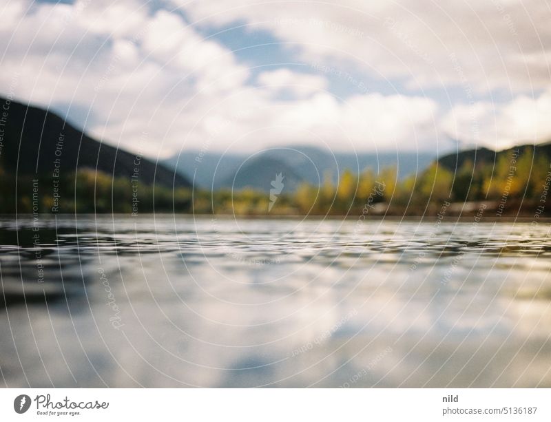 The Piave river near Segusino river landscape River bank Water Landscape Nature Environment Reflection Mountain torrent Beautiful weather Alpine foothills Italy