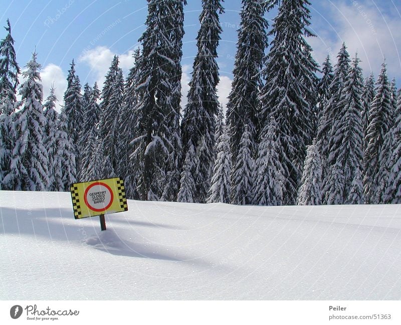 Closed ski slope II Barred Winter Forest Fir tree Snowscape Avalanche Ski run Deep snow Alpine Light blue Cold Ice crystal Yellow Red Signs and labeling Shadow