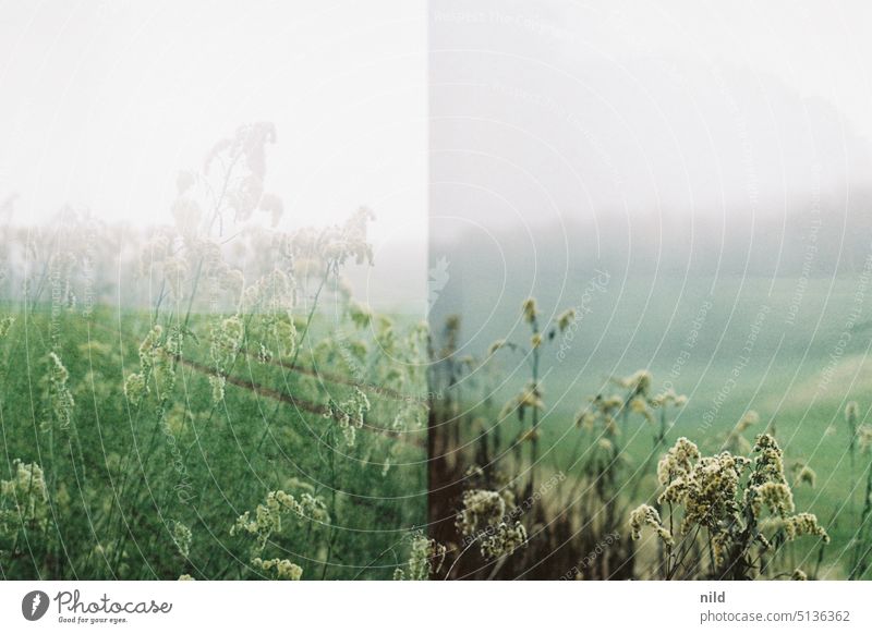 Parallel world - overlapping parallel world Autumn Winter foggy Fog Misty atmosphere Double exposure Field Wayside Exterior shot Nature Shroud of fog Landscape