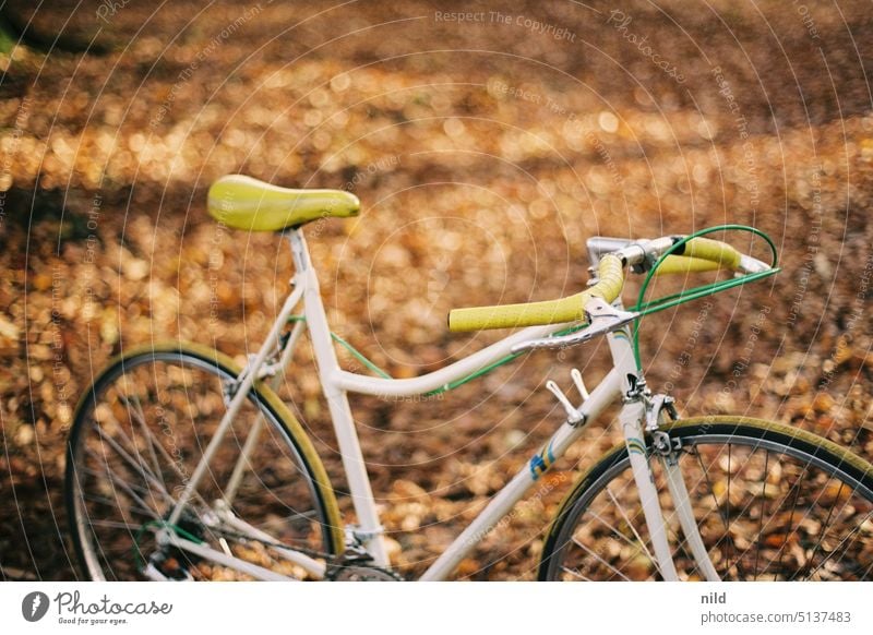 Vintage ladies road bike in autumn park, wide shot. Racing cycle vintage Retro steel frame Lifestyle Means of transport Bicycle Leisure and hobbies Sports