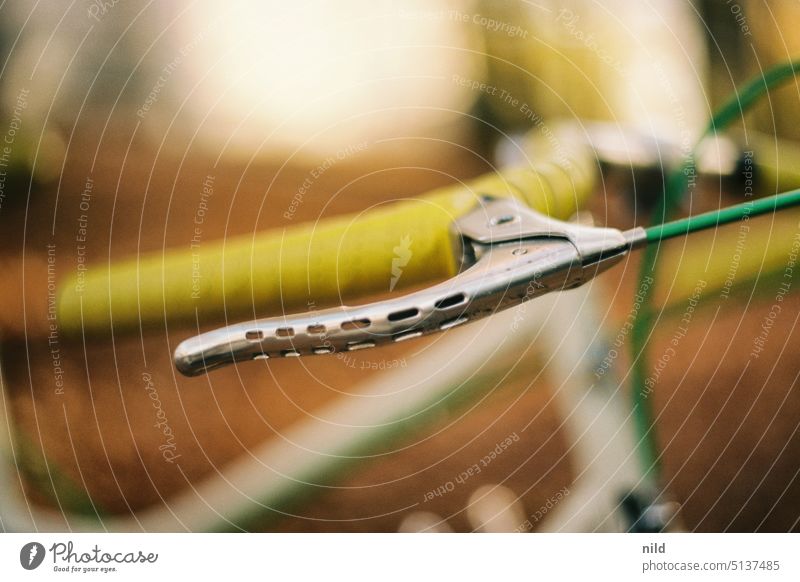 Vintage ladies road bike in autumn park, brake lever detail. Racing cycle vintage Retro steel frame Lifestyle Means of transport Bicycle Leisure and hobbies