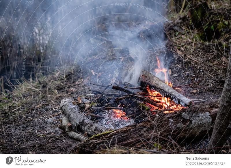 campfire on river shore Campfire River Shore Warm Warm up Hot Flame Firewood Nature Burn Burning Bonfire Blaze Heat Smoke