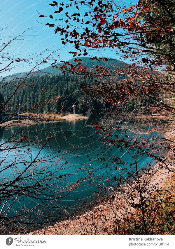 Amazing autumn view to lake in Carpathian mountains. Synevyr lake, Ukraine. Tourist place. carpathian forest synevir cloud landscape ukraine blue hill outdoor