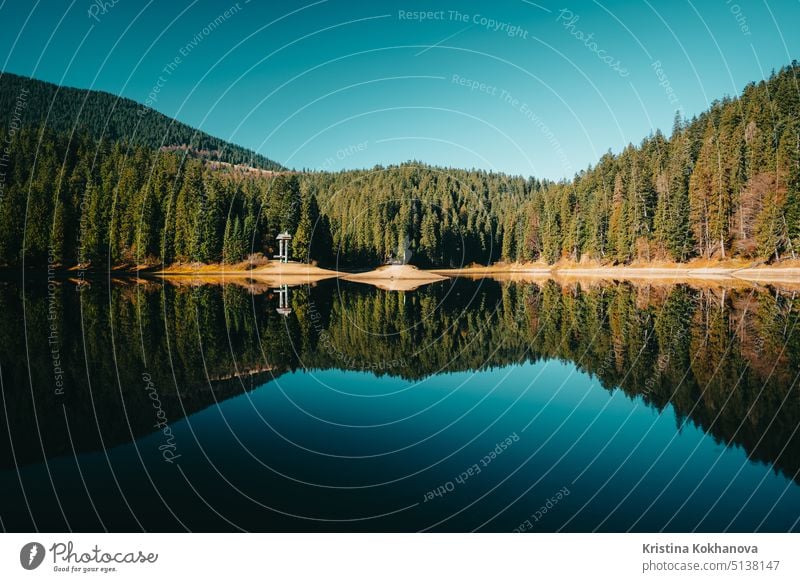 Panorama view - lake in Carpathian high mountains - Synevir. Popular tourist place in Ukraine. National nature park in autumn day forest ukraine outdoor tree