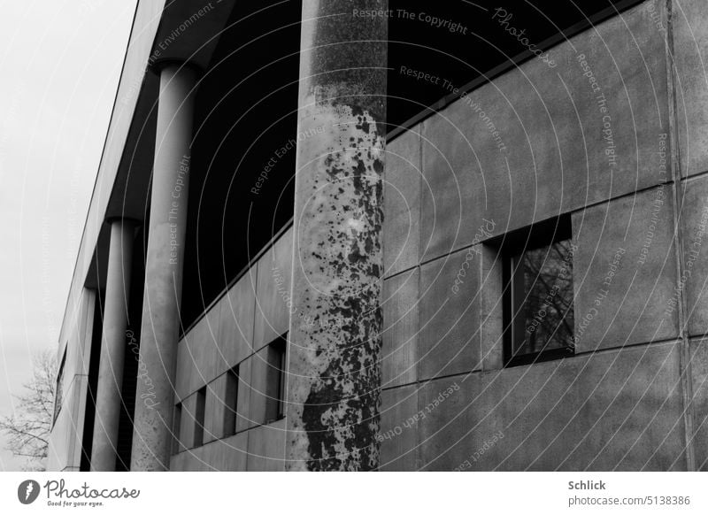 Modern concrete architecture with a view of bare trees Architecture Concrete Concrete columns Concrete slabs Window Bleak reflection Sky Gray Gloomy