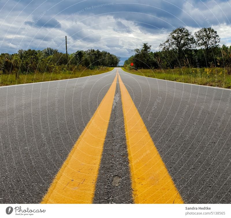 American street perspective Asphalt Street Pavement Deserted Lanes & trails Line Exterior shot Gray Landscape Traffic infrastructure Lane markings Stripe Tar