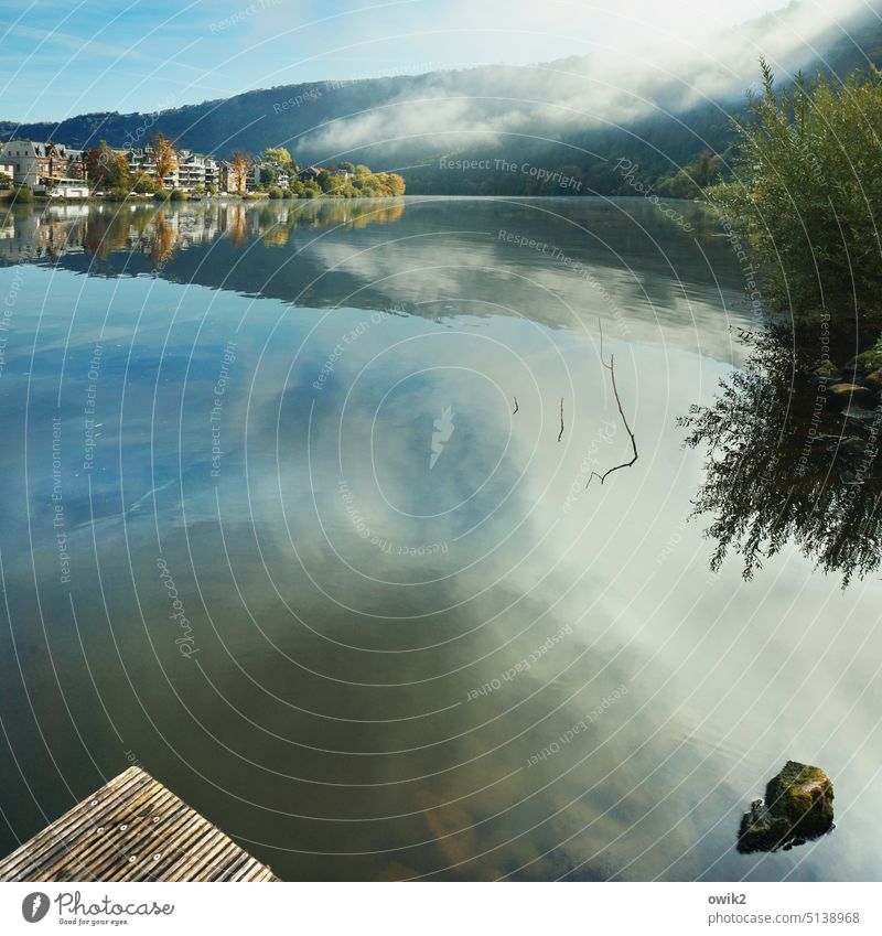 down the river Traben-Trarbach Moselle Water River Surface of water Water reflection windless Exterior shot Reflection Nature Colour photo Deserted Landscape