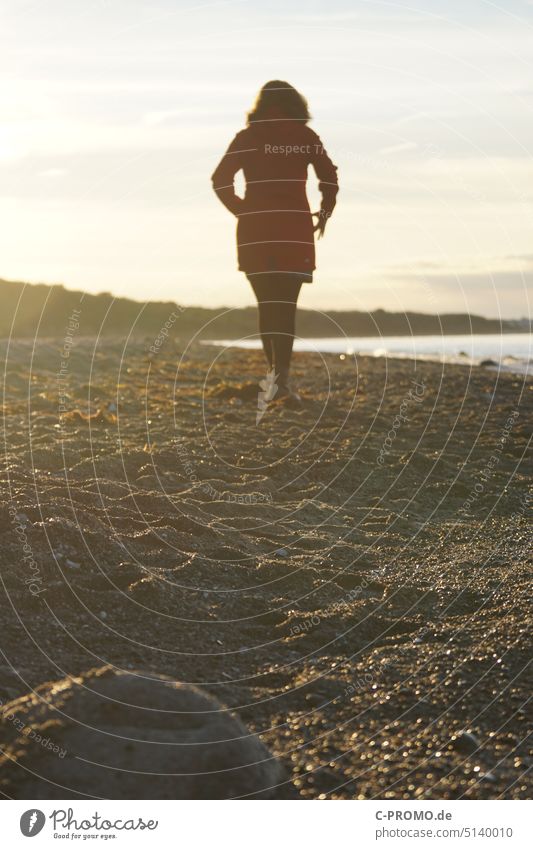 beach walk Woman Beach To go for a walk Sand Sun Sunlight blurriness Meditative Ocean coast Relaxation