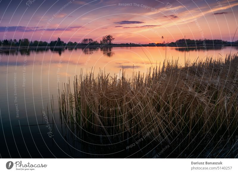 The sky after sunset over the lake with reeds outdoor nature water dusk horizon reflection blue twilight evening cloud beautiful landscape romantic color pond