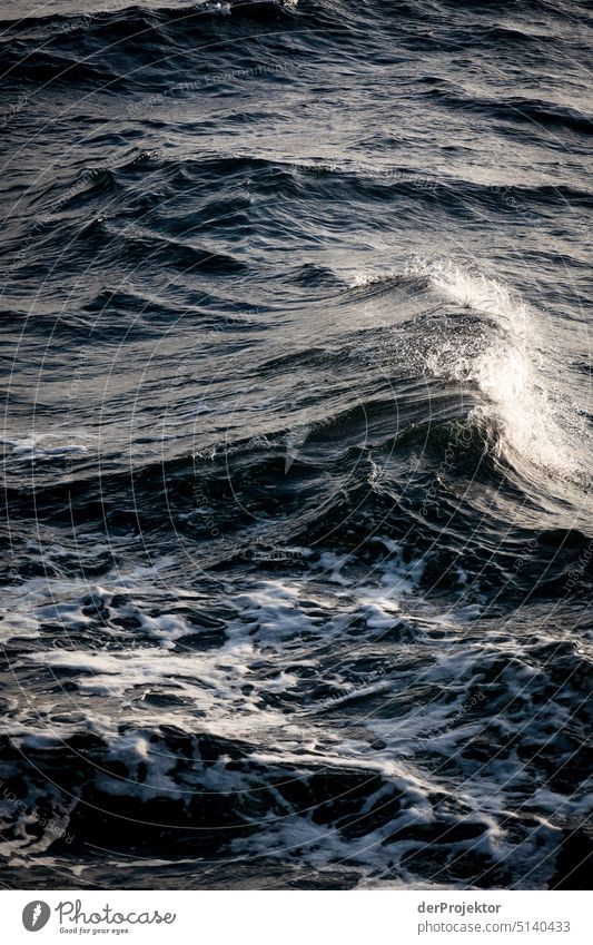 Wavy Baltic Sea near Rügen I Winter mood Winter vacation Panorama (View) Light Day Copy Space middle Multicoloured Structures and shapes Subdued colour