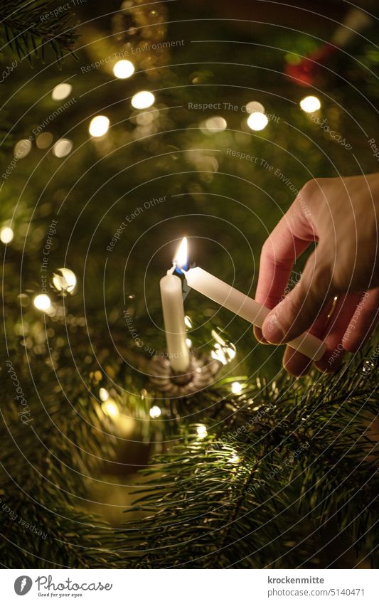 A Christmas tree candle on a Christmas tree is lit with another candle. Christmas & Advent shoulder stand Candlelight Candle flame Hand Ignite inflame