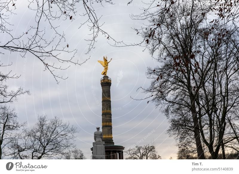 The Victory Column between trees in winter Victory column Berlin Sky Goldelse victory statue Monument Capital city Berlin zoo Historic big star Germany Figure