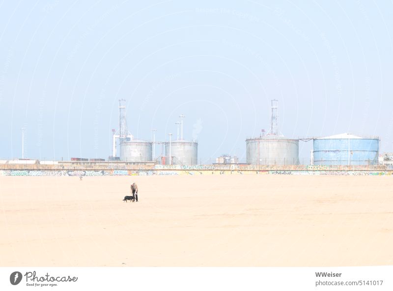 A man and his dog on the beach in front of the industrial plants in the background Beach far Man master Dog Pet Playing stroll Sand Bright Industry Harbour