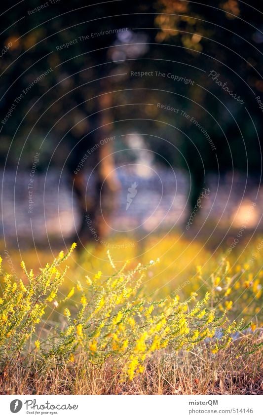 French Style XIV Art Esthetic Contentment Landscape Blur Romance France Wall (barrier) Picturesque Tree Summer vacation Roadside Edge of the forest Flower