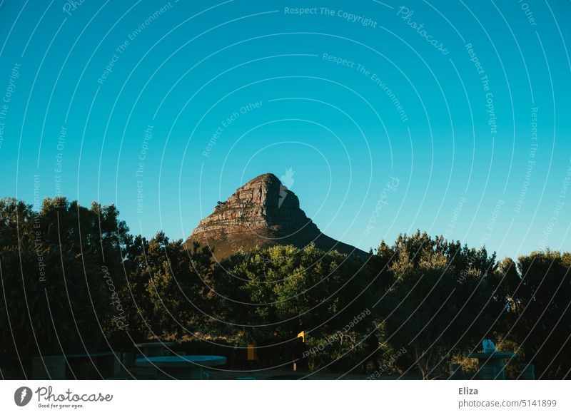 View of Lions Head from Signal Hill in Cape Town mountain Landscape Blue sky Tourist Attraction Sky Mountain Nature Beautiful weather Top of the mountain trees