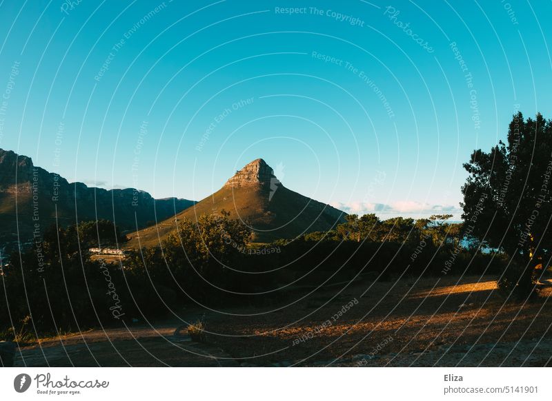 View of Lions Head from Signal Hill in Cape Town mountain Landscape Blue sky Tourist Attraction Sky Mountain Nature Beautiful weather Top of the mountain