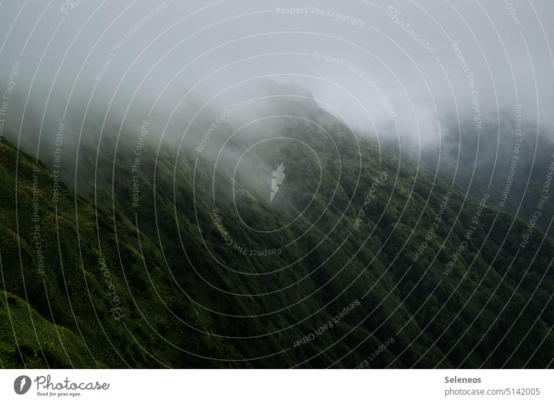 Shrouded in fog Landscape Fog Forest mountains Mountain Nature Sky Clouds Exterior shot Hill Colour photo Deserted Environment Tree Rock Peak Alps Day Green