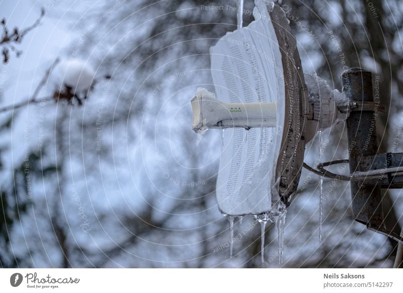 freezing radio link internet antenna covered with ice web aerial wire broadcasting technology country countryside fast internet telecommunications wireless