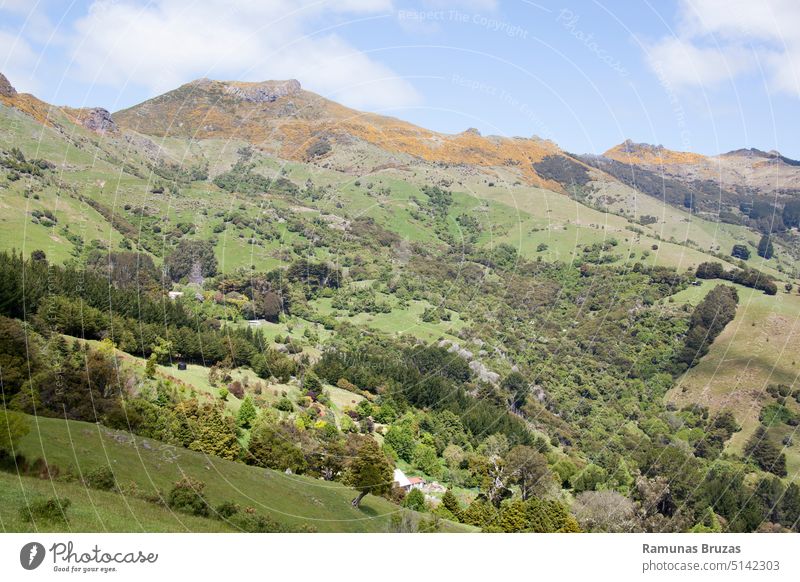 Akaroa Resort Town Mountainous Suburb nature view scenic landscape rural suburb green yellow mountain peak outdoor travel hiking sky clouds blue residential