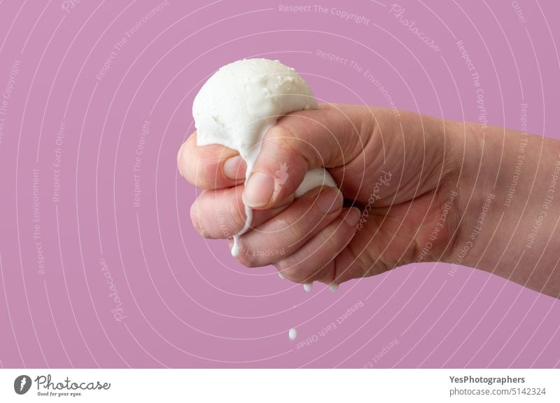 Squeezing mozzarella ball in hand, close up on a purple background appetizer bright bufala buffalo burrata calcium caprese cheese close-up color concept