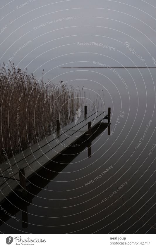 Lonely wooden jetty on mirror-smooth lake in monochrome evening mood Nature tranquillity Lake Fjord Water Footbridge wooden walkway Simple Minimalistic reed