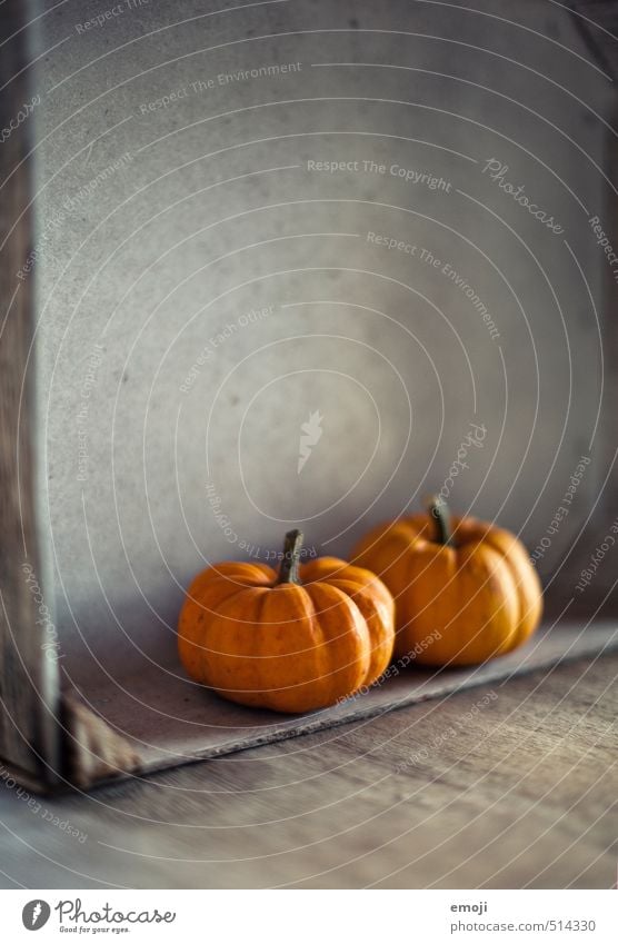 pumpkin Vegetable Pumpkin Pumpkin plants Pumpkin time Nutrition Autumn Natural Orange Holiday season Colour photo Interior shot Close-up Deserted Copy Space top